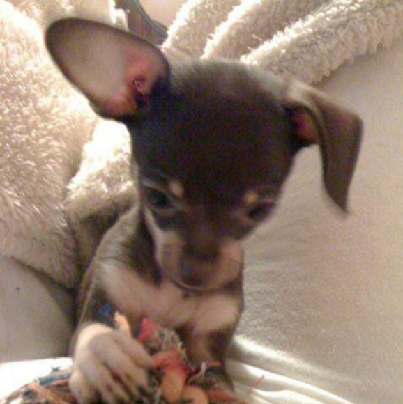 Meet your Posher, Mary - Picture 6 of 16